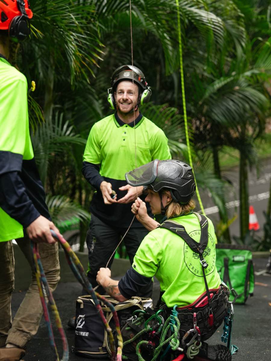 Three crew members in hi-vis sorting ropes and a climbing harness on a driveway beneath palms