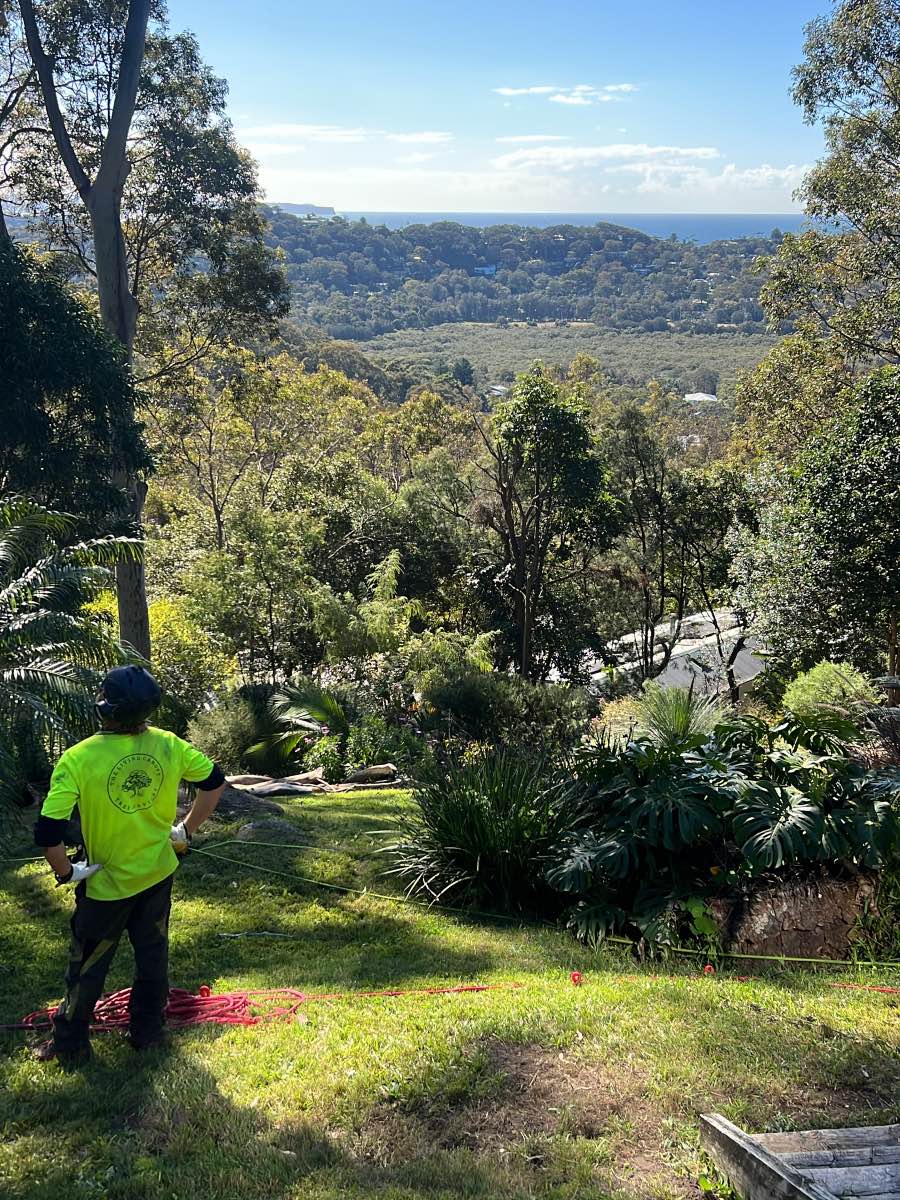 Groundworker in hi-vis standing on a sloping lawn with ropes laid out, looking across a bushy valley towards the ocean