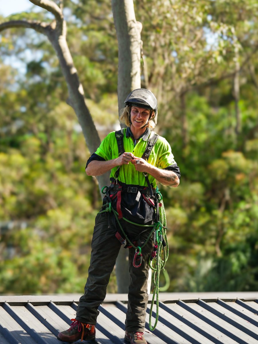 Arborist in climbing harness and helmet sorting ropes on a house roof beside a tall gum