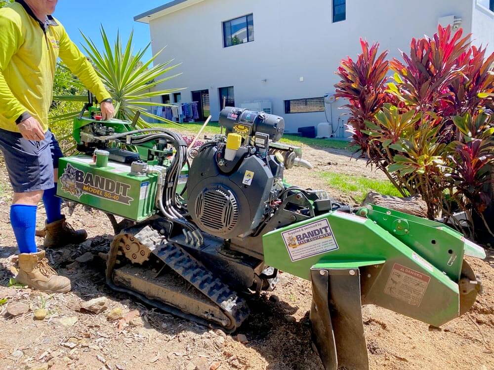 Bandit SG40 stump grinder Northern Beaches