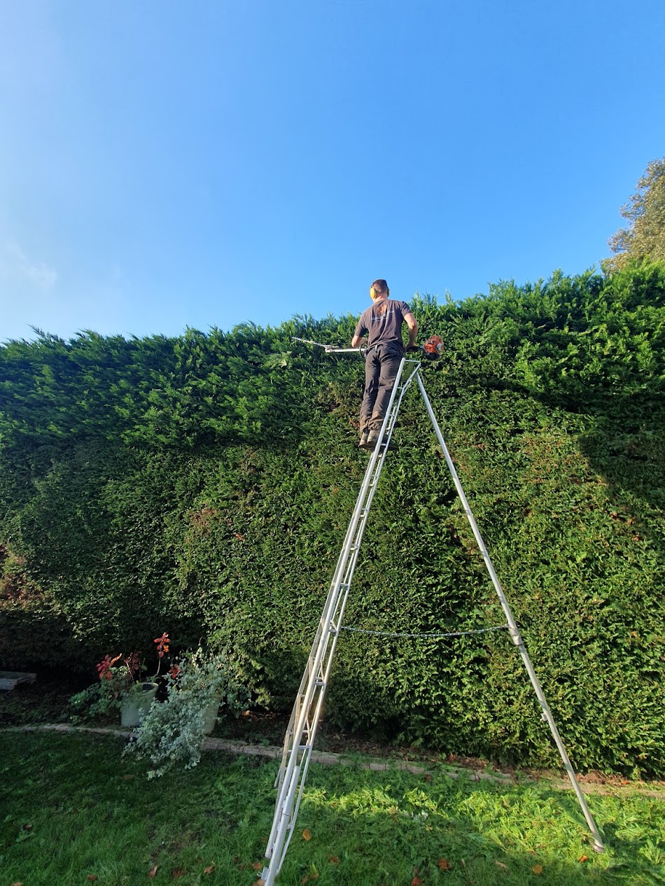 Boundary hedge trimming Collaroy