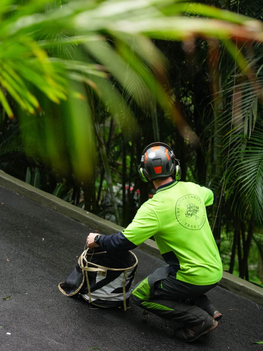 Climber crouched on a steep driveway packing a rope into a bag beneath palms