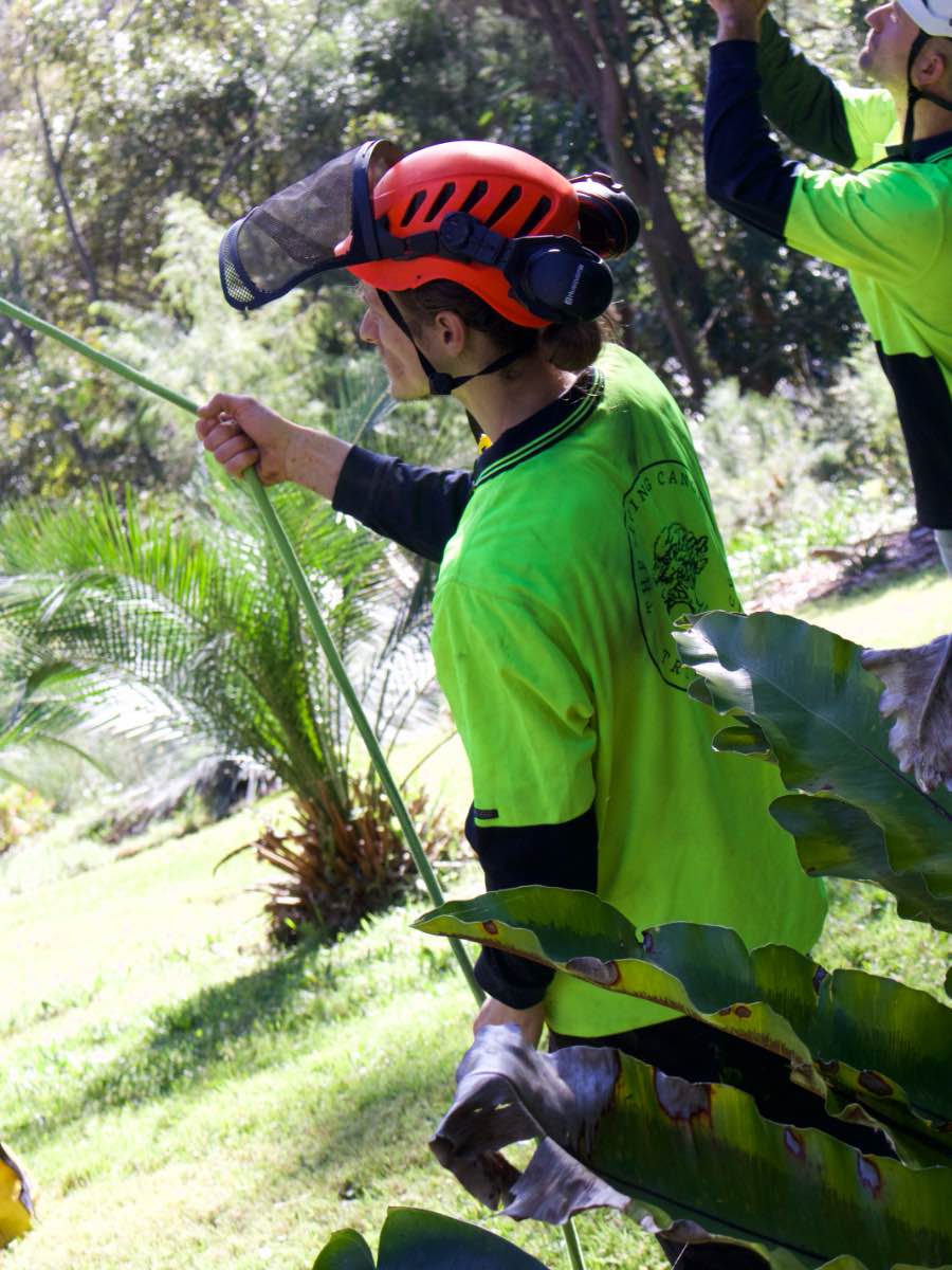 Ground crew member in an orange helmet and mesh visor hauling on a rope, with a second crew member reaching up behind him