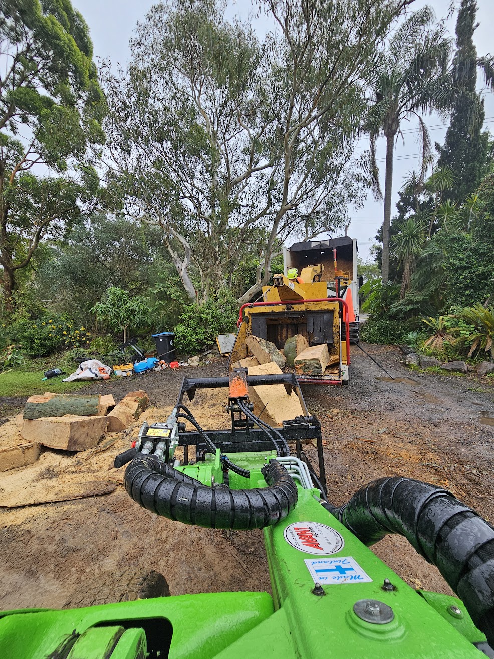 Professional tree removal Belrose NSW