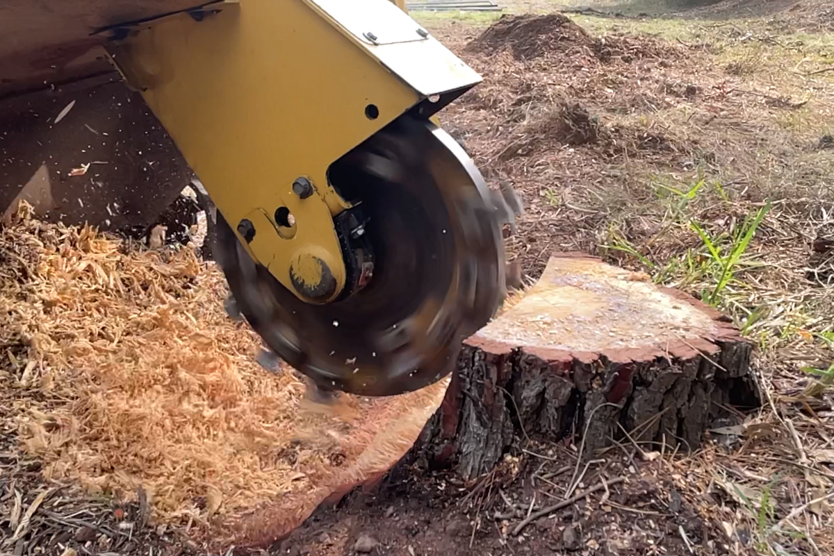 Stump grinder in action Northern Beaches