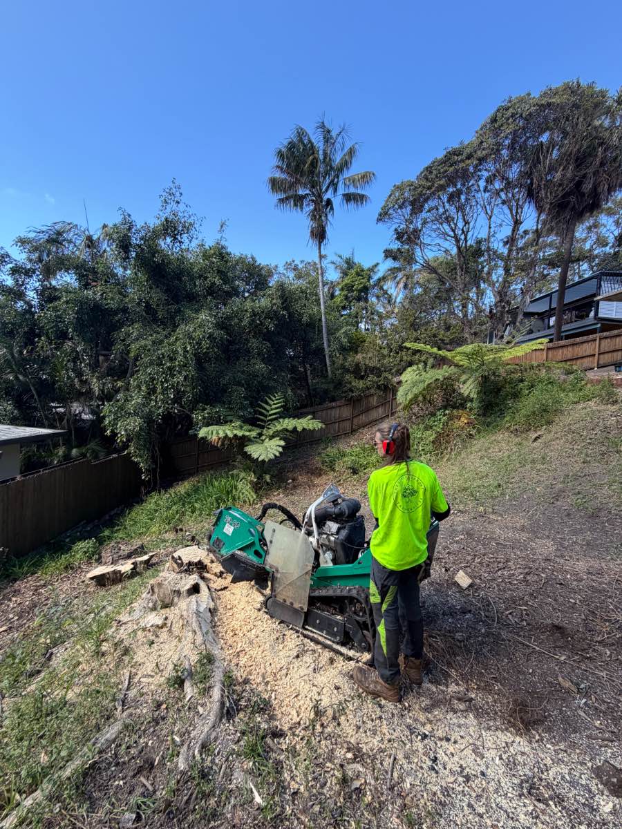 Operator in hi-vis standing behind a tracked stump grinder on a cleared garden slope, with fresh wood chips around the stump