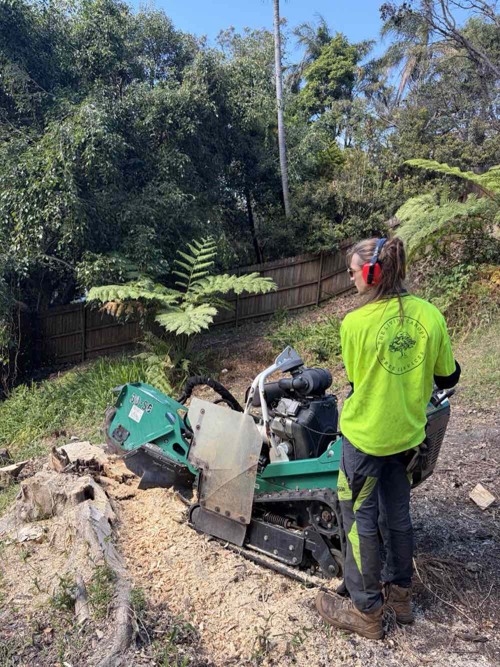 Operator running a tracked stump grinder on a bushland block in Mona Vale