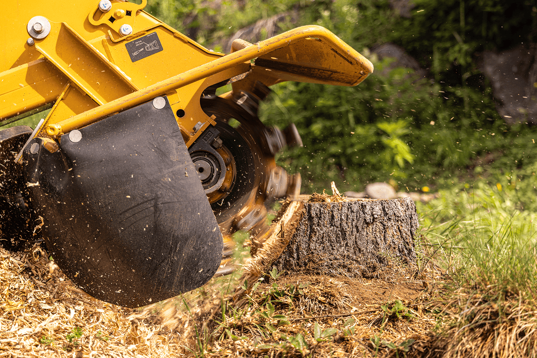 Stump grinding Northern Beaches