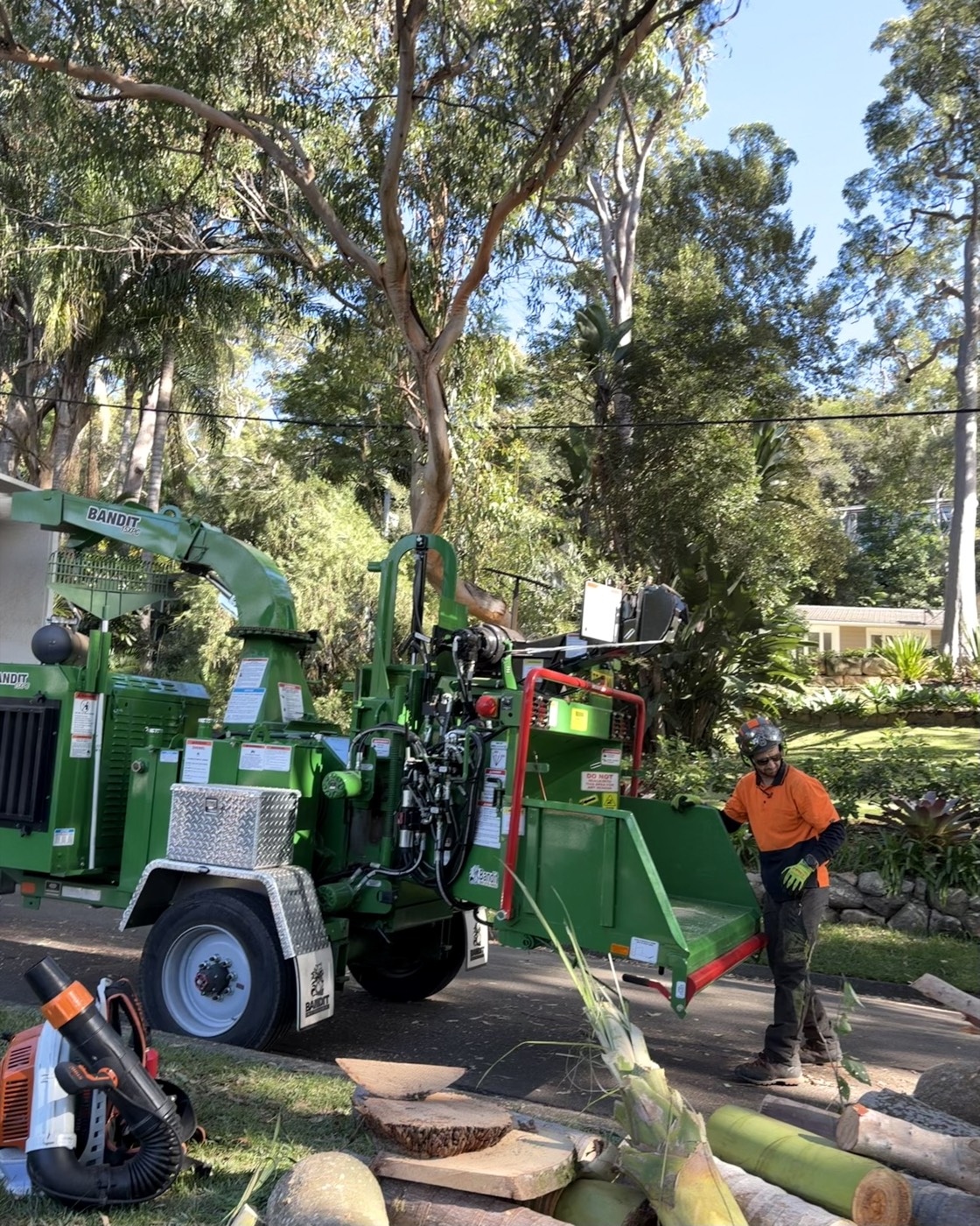 Tree removal with wood chipper, Northern Beaches