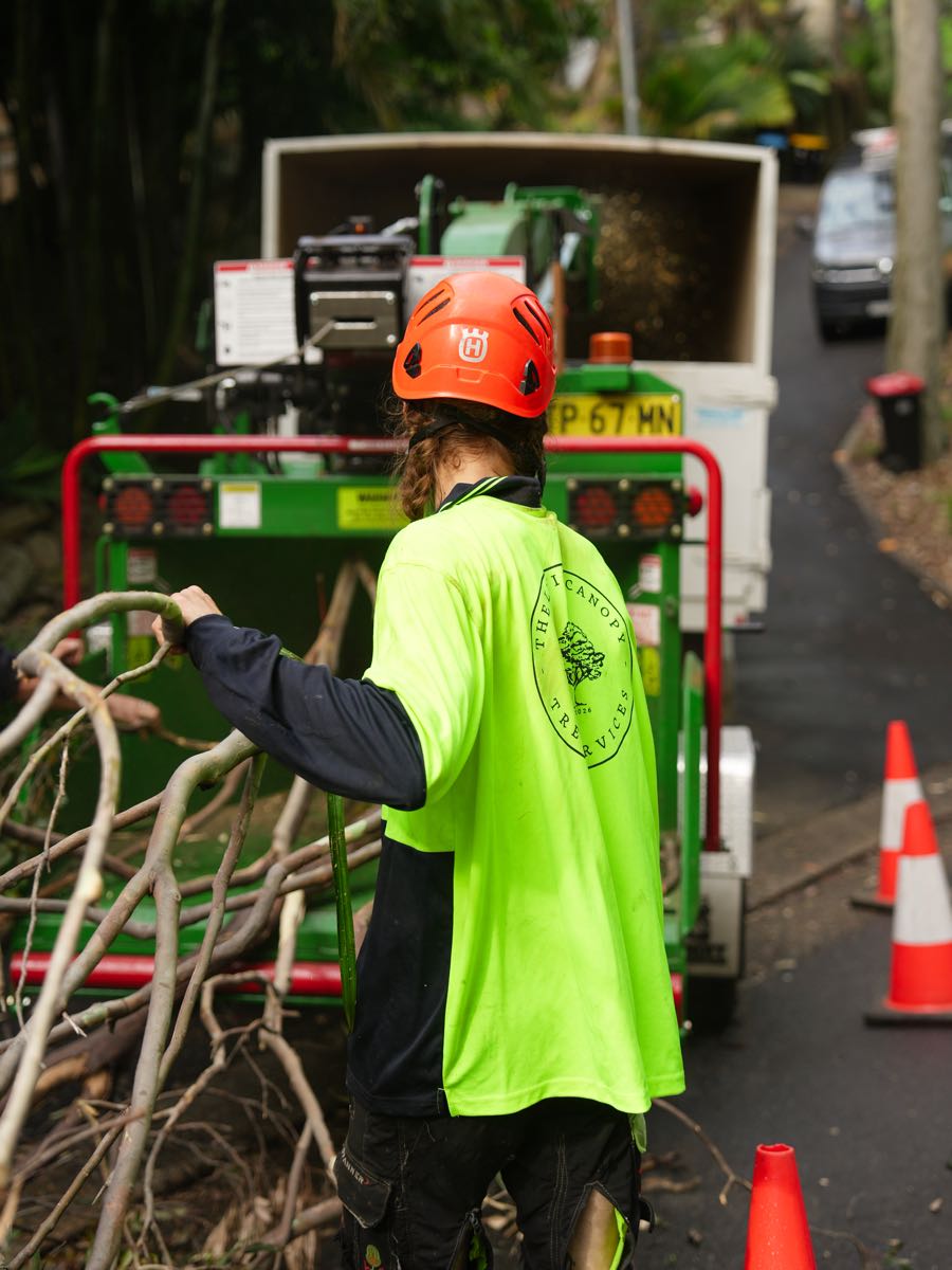 Ground crew feeding branches into a wood chipper on a steep Bilgola street