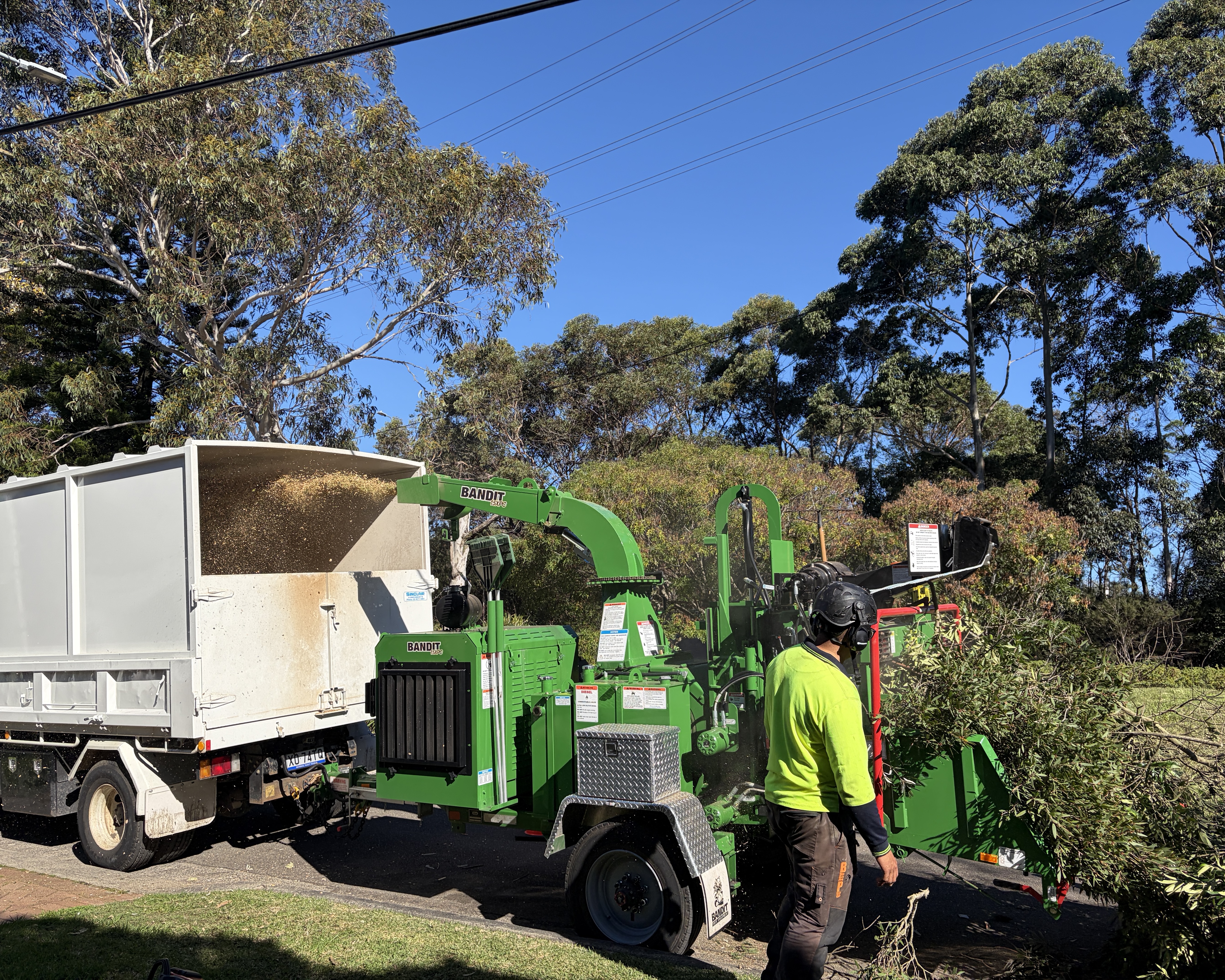 Arborist operating a wood chipper during vegetation clearing on the Northern Beaches — The Living Canopy